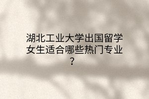湖北工業(yè)大學(xué)出國留學(xué)女生適合哪些熱門專業(yè)？