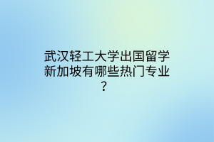 武漢輕工大學(xué)出國(guó)留學(xué)新加坡有哪些熱門(mén)專(zhuān)業(yè)？