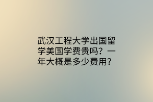 武漢工程大學(xué)出國(guó)留學(xué)美國(guó)學(xué)費(fèi)貴嗎？一年大概是多少費(fèi)用？