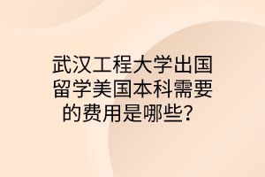 武漢工程大學(xué)出國(guó)留學(xué)美國(guó)本科需要的費(fèi)用是哪些？