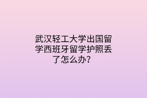 武漢輕工大學(xué)出國留學(xué)西班牙留學(xué)護照丟了怎么辦？