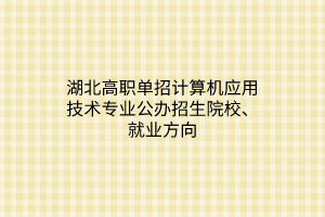 湖北高職單招計(jì)算機(jī)應(yīng)用技術(shù)專業(yè)公辦招生院校、就業(yè)方向