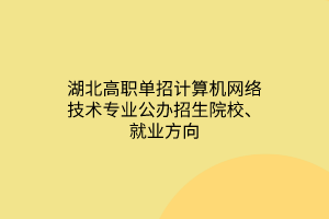 湖北高職單招計(jì)算機(jī)網(wǎng)絡(luò)技術(shù)專業(yè)公辦招生院校、就業(yè)方向