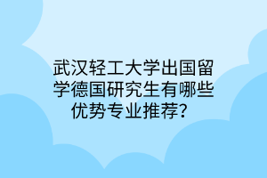 武漢輕工大學(xué)出國(guó)留學(xué)德國(guó)研究生有哪些優(yōu)勢(shì)專(zhuān)業(yè)推薦？