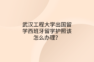 武漢工程大學(xué)出國(guó)留學(xué)西班牙留學(xué)護(hù)照該怎么辦理？