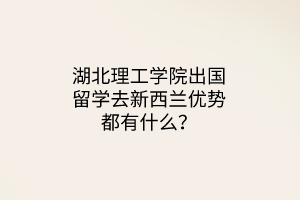 湖北理工學(xué)院出國留學(xué)去新西蘭優(yōu)勢都有什么？