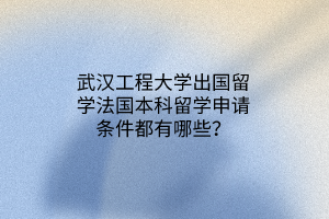 武漢工程大學(xué)出國留學(xué)法國本科留學(xué)申請(qǐng)條件都有哪些？