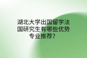 湖北大學(xué)出國留學(xué)法國研究生有哪些優(yōu)勢(shì)專業(yè)推薦？