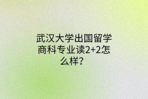 武漢大學出國留學商科專業(yè)讀2+2怎么樣？