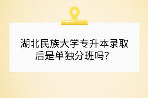 湖北民族大學專升本錄取后是單獨分班嗎？