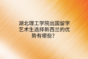 湖北理工學(xué)院出國留學(xué)藝術(shù)生選擇新西蘭的優(yōu)勢有哪些？