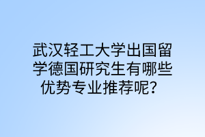 武漢輕工大學出國留學德國研究生有哪些優(yōu)勢專業(yè)推薦呢？