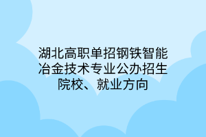 湖北高職單招鋼鐵智能冶金技術(shù)專業(yè)公辦招生院校、就業(yè)方向
