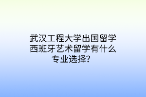 武漢工程大學(xué)出國(guó)留學(xué)西班牙藝術(shù)留學(xué)有什么專業(yè)選擇？