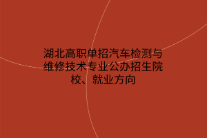 湖北高職單招汽車檢測與維修技術(shù)專業(yè)公辦招生院校、就業(yè)方向