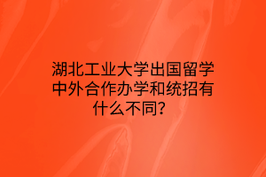 湖北工業(yè)大學出國留學中外合作辦學和統(tǒng)招有什么不同？