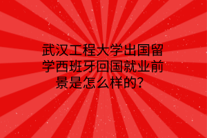 武漢工程大學(xué)出國留學(xué)西班牙回國就業(yè)前景是怎么樣的？