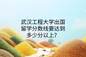 武漢工程大學出國留學分數(shù)線要達到多少分以上？