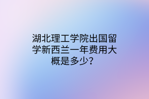 湖北理工學院出國留學新西蘭一年費用大概是多少？