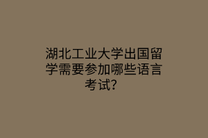 湖北工業(yè)大學(xué)出國留學(xué)需要參加哪些語言考試？