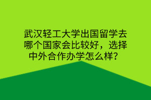 武漢輕工大學(xué)出國(guó)留學(xué)去哪個(gè)國(guó)家會(huì)比較好，選擇中外合作辦學(xué)怎么樣？