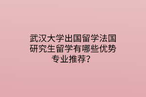 武漢大學(xué)出國留學(xué)法國研究生留學(xué)有哪些優(yōu)勢專業(yè)推薦？