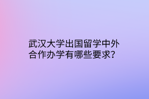 武漢大學(xué)出國(guó)留學(xué)中外合作辦學(xué)有哪些要求？