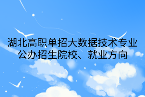 湖北高職單招大數(shù)據(jù)技術專業(yè)公辦招生院校、就業(yè)方向