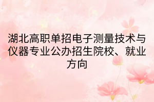 湖北高職單招電子測量技術(shù)與儀器專業(yè)公辦招生院校、就業(yè)方向