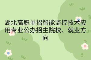 湖北高職單招智能監(jiān)控技術(shù)應(yīng)用專(zhuān)業(yè)公辦招生院校、就業(yè)方向