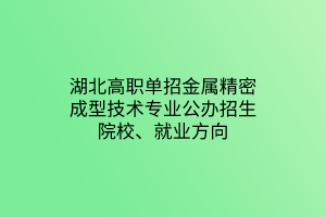 湖北高職單招金屬精密成型技術(shù)專業(yè)公辦招生院校、就業(yè)方向