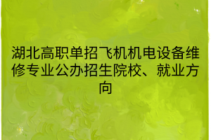 湖北高職單招飛機(jī)機(jī)電設(shè)備維修專業(yè)公辦招生院校、就業(yè)方向