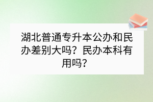 湖北普通專升本公辦和民辦差別大嗎？民辦本科有用嗎？