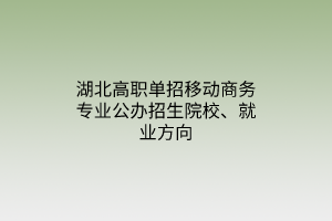 湖北高職單招移動(dòng)商務(wù)專業(yè)公辦招生院校、就業(yè)方向