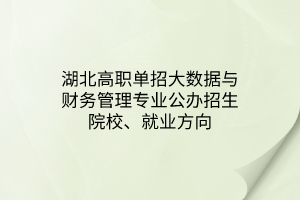 湖北高職單招大數(shù)據(jù)與財(cái)務(wù)管理專業(yè)公辦招生院校、就業(yè)方向