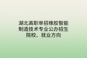 湖北高職單招橡膠智能制造技術(shù)專業(yè)公辦招生院校、就業(yè)方向