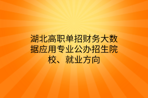 湖北高職單招財(cái)務(wù)大數(shù)據(jù)應(yīng)用專(zhuān)業(yè)公辦招生院校、就業(yè)方向
