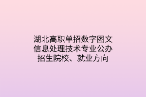 湖北高職單招數(shù)字圖文信息處理技術(shù)專業(yè)公辦招生院校、就業(yè)方向