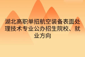 湖北高職單招航空裝備表面處理技術專業(yè)