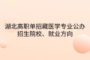 湖北高職單招藏醫(yī)學(xué)專業(yè)公辦招生院校、就業(yè)方向