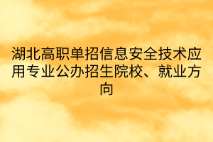 湖北高職單招信息安全技術(shù)應(yīng)用專業(yè)公辦招生院校、就業(yè)方向