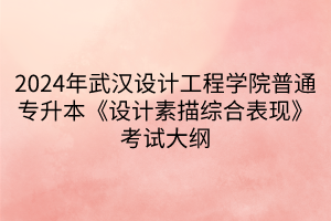 2024年武漢設(shè)計工程學(xué)院普通專升本《設(shè)計素描綜合表現(xiàn)》考試大綱(1)