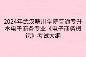2024年武漢晴川學(xué)院普通專(zhuān)升本電子商務(wù)專(zhuān)業(yè)《電子商務(wù)概論》考試大綱(1)