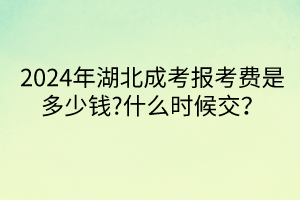 默認標題__2024-04-1114_41_29