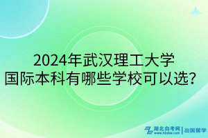 2024年武漢理工大學(xué)國際本科有哪些學(xué)校可以選？