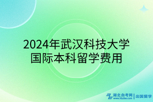 2024年武漢科技大學國際本科留學費用