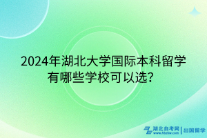 2024年湖北大學國際本科留學有哪些學?？梢赃x？