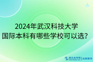2024年武漢科技大學(xué)國際本科有哪些學(xué)校可以選？
