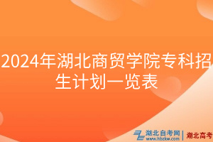 2024年湖北商貿(mào)學(xué)院專科招生計(jì)劃一覽表