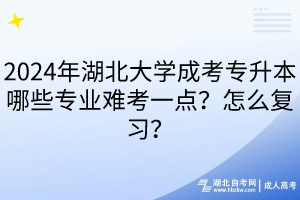 2024年湖北大學(xué)成考專升本哪些專業(yè)難考一點(diǎn)？怎么復(fù)習(xí)？